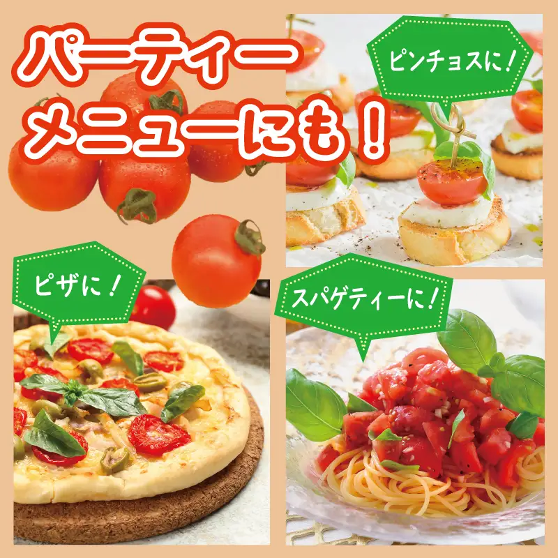 泉州産 新鮮ミニトマト 12パック 約2kg