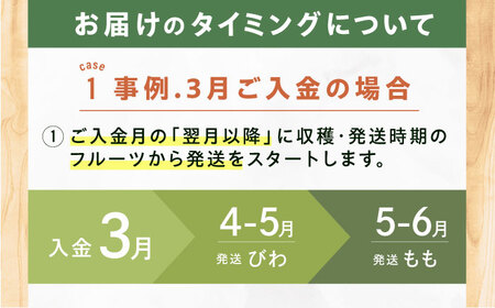【7回定期便】フルーツ定期便（あまおう/びわ/桃/ぶどう/シャインマスカット/柿/キウイ） 広川町 / JAふくおか八女農産物直売所どろや[AFAB093]