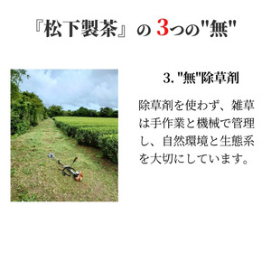 ＼ R8年産 出荷中／ 【たねがしまる4000】種子島 有機 粉末 緑茶 １袋   NFN950【100pt】 // オーガニック フンマツ ふんまつ 一番茶 パウダー 新茶