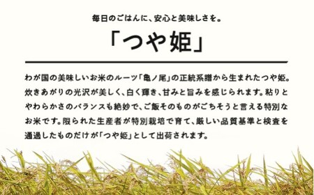 つや姫 精米 5kg 7月上旬~7月中旬発送 国産 お米 山形県産 山形産  おすすめ 5kg 5キロ 5きろ 令和7年産 2025年産 沖縄・離島への配送不可 コメ こめ はくまい 白米米 tf-tssxb5-7f