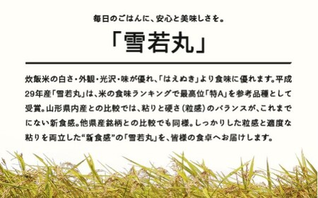 雪若丸 精米 5kg 7月中旬~7月下旬発送 国産 お米 山形県産 山形産  おすすめ 5kg 5キロ 5きろ 令和7年産 2025年産 沖縄・離島への配送不可 コメ こめ はくまい 白米米 tf-ywsxb5-7s