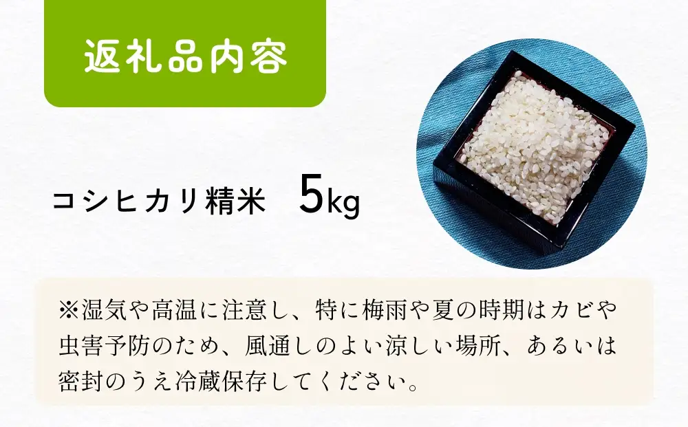 【交響するお米】［精米］自然栽培 コシヒカリ 5kg（富山県 氷見市 / 令和7年産） |   移住農家が里山から直送 米 白米 こしひかり