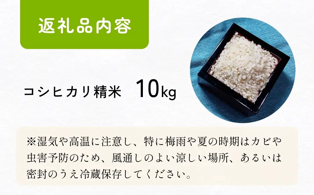 【交響するお米】［精米］自然栽培 コシヒカリ 10kg（富山県 氷見市 / 令和7年産） |   移住農家が里山から直送 米 白米 こしひかり