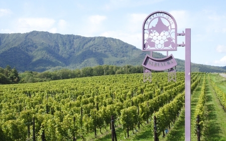 鶴沼収穫ワイン 【 ゲヴュルツトラミネール 】 白ワイン3本セット アルコール11.5％~12.5％ ライチ 白桃 柑橘 スパイス 酸味 お酒 酒 洋酒 アルコール 白ワイン 国産 北海道産 ぶどう 辛口