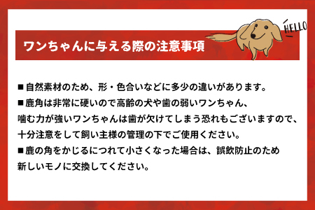 犬用「鹿の角(半割り)」Ｍサイズ×2本[53-1599]