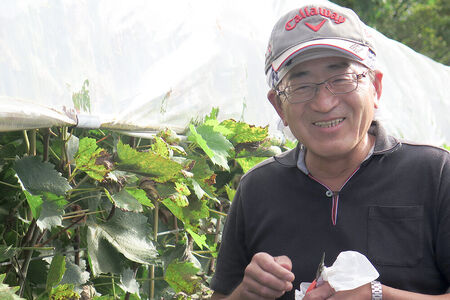 《9月下旬～11月上旬にお届け》沼田市産 特選 富士の輝き（ブラックシャインマスカット）1房 700g以上