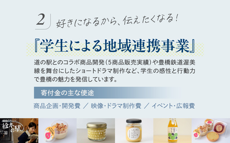 ≪返礼品無し≫【愛知大学】豊橋市大学応援寄附 100000円 大学寄附 愛知県豊橋市への寄附 返礼品無し 寄附のみ 豊橋市 穂の国 東三河 100000円 ポッキリ 愛知県 豊橋市