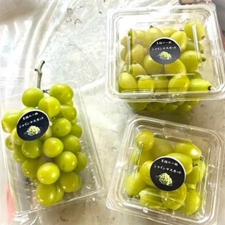 【2026年先行予約】 シャインマスカット 訳あり 2房 約1.2kg 完熟 朝採り 静岡県産【配送不可地域：離島・沖縄県】【1723185】