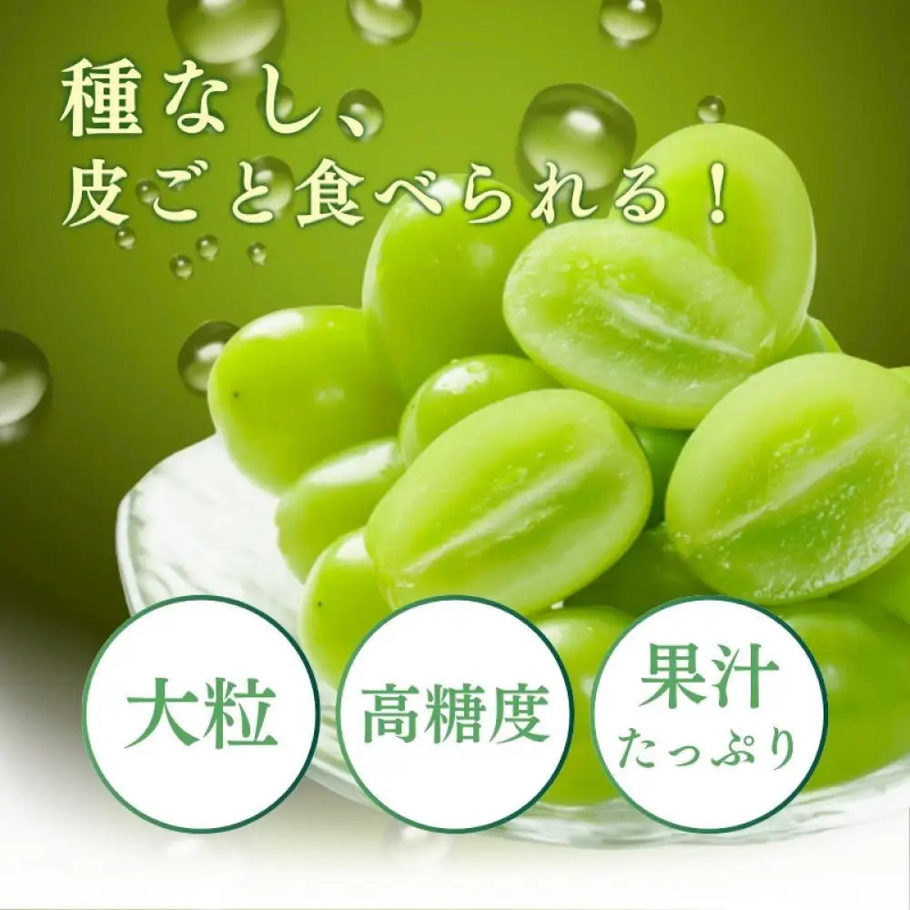 【訳あり】長野市産 シャインマスカット 約1.0kg（ご家庭用）【2026年9月下旬以降出荷予定】わけあり 長野 | ぶどう シャインマスカット 皮ごと