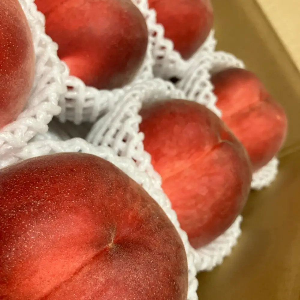 【先行予約】川中島の桃 約2kg 品種おまかせ  7月下旬～8月上旬発送予定 |桃 フルーツ