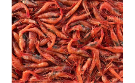 ＜定期便＞『境港の全部を食す』旬のお魚宅配便(全4回)