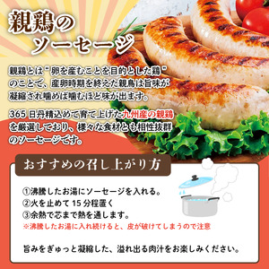 ベーコン ソーセージ 詰め合わせ 3種 セット