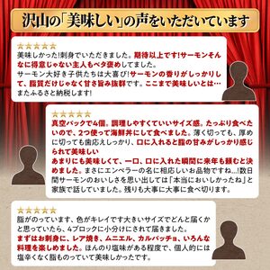 【ふるさと納税】エンペラーサーモン  400g_T010-1110