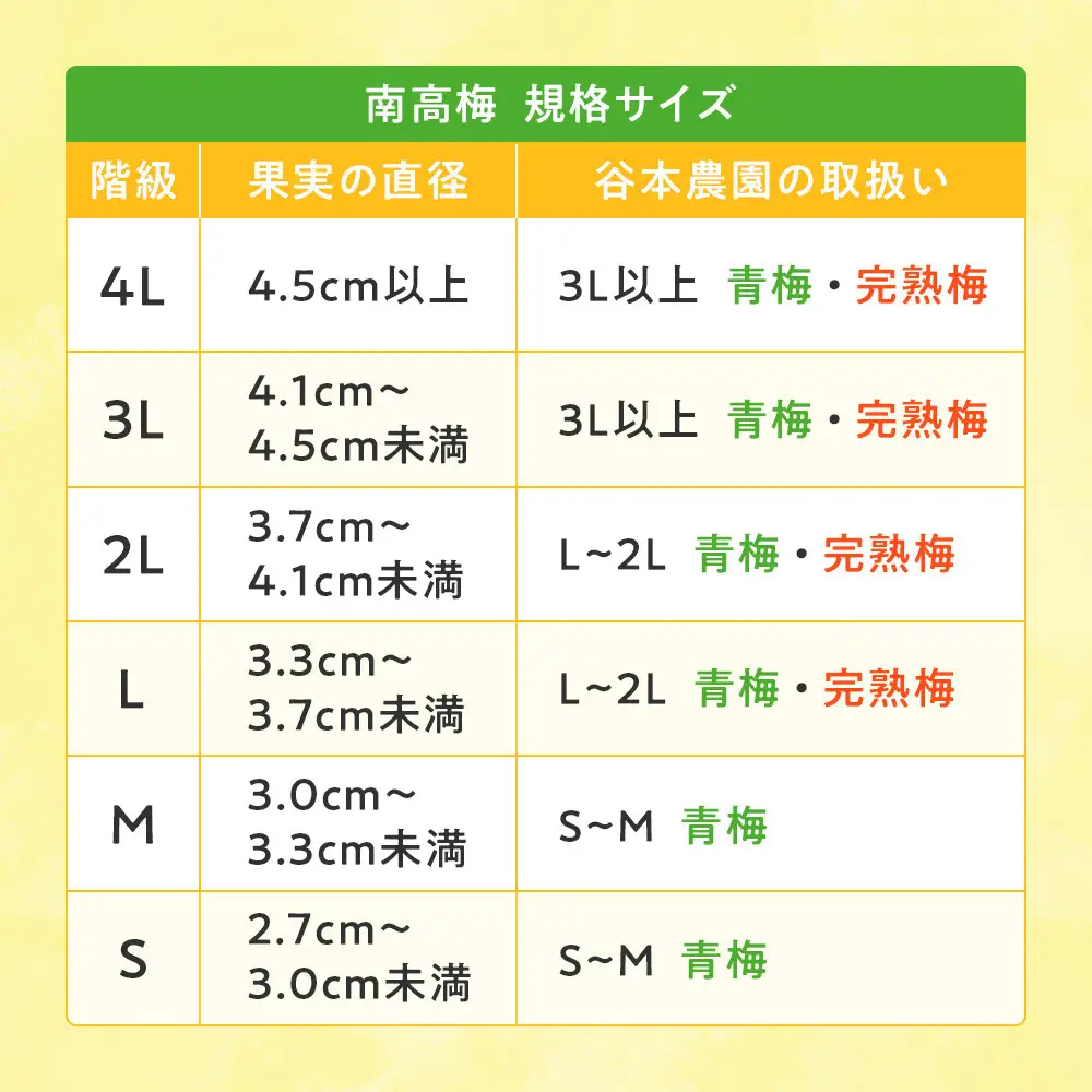 手もぎ 完熟南高梅 20kg L～2Lサイズ 谷本農園