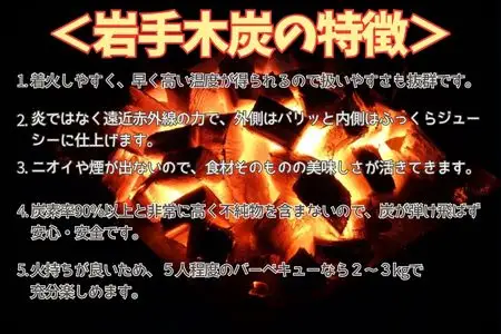 岩手切炭3kg×3個 GI登録商品 生産量日本一 高品質 高火力 なら堅一級 アウトドア キャンプ BBQ バーベキュー
