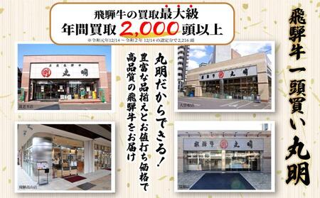 A5 飛騨牛 サーロインステーキ 200g×5枚 | ステーキ 肉 牛肉  飛騨牛 飛騨高山 株式会社丸明 LR007