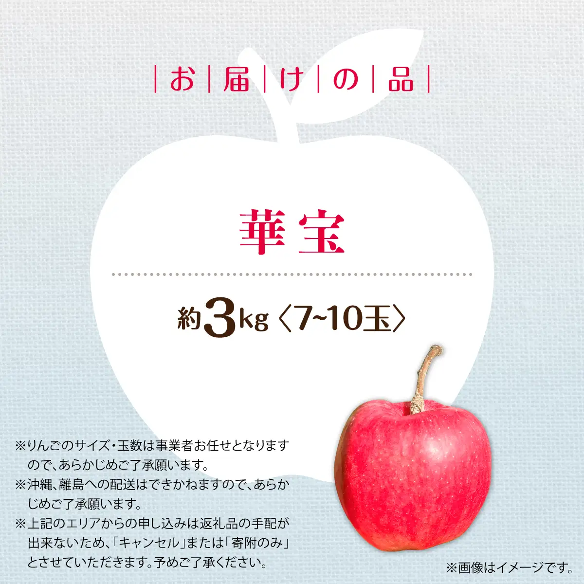 【先行予約】＜2026年10月上旬よりお届け＞北海道壮瞥町　りんご　品種名「華宝」7～10玉 約3kg SBTF014