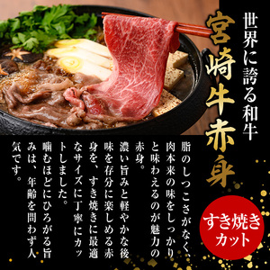 宮崎牛 赤身カット すき焼き (合計1kg・500g×2) すき焼き お肉 牛肉 黒毛和牛 宮崎牛 ブランド和牛 冷凍 国産 モモ ウデ 宮崎県産【YM-25】【YAMATO株式会社】