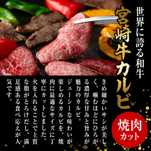 宮崎牛 カルビカット 焼肉 (計1kg・500g×2) 焼肉 お肉 牛肉 黒毛和牛 宮崎牛 ブランド和牛 冷凍 国産 宮崎県産 カルビ バラ 【YM-35】【YAMATO株式会社】