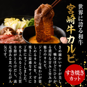宮崎牛 カルビカット すき焼き (計1kg・500g×2) すき焼き お肉 牛肉 黒毛和牛 宮崎牛 ブランド和牛 冷凍 国産 宮崎県産 カルビ バラ 【YM-36】【YAMATO株式会社】
