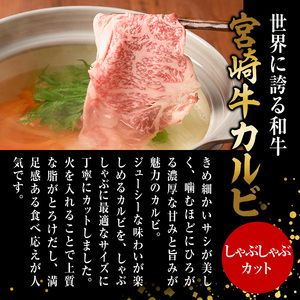 宮崎牛 カルビカット しゃぶしゃぶ (計1kg・500g×2) しゃぶしゃぶ お肉 牛肉 黒毛和牛 宮崎牛 ブランド和牛 冷凍 国産 宮崎県産 カルビ バラ 【YM-37】【YAMATO株式会社】