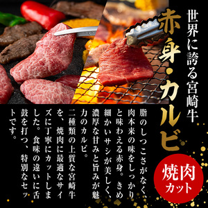 宮崎牛 赤身＆カルビカット 焼肉 (合計500g・250g×2) 焼肉 お肉 牛肉 黒毛和牛 宮崎牛 ブランド和牛 冷凍 国産 カルビ 赤身 宮崎県産 【YM-41】【YAMATO株式会社】