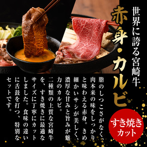 宮崎牛 赤身＆カルビカット すき焼き (合計1kg・500g×2) すき焼き お肉 牛肉 黒毛和牛 宮崎牛 ブランド和牛 冷凍 国産 カルビ 赤身 宮崎県産 【YM-45】【YAMATO株式会社】