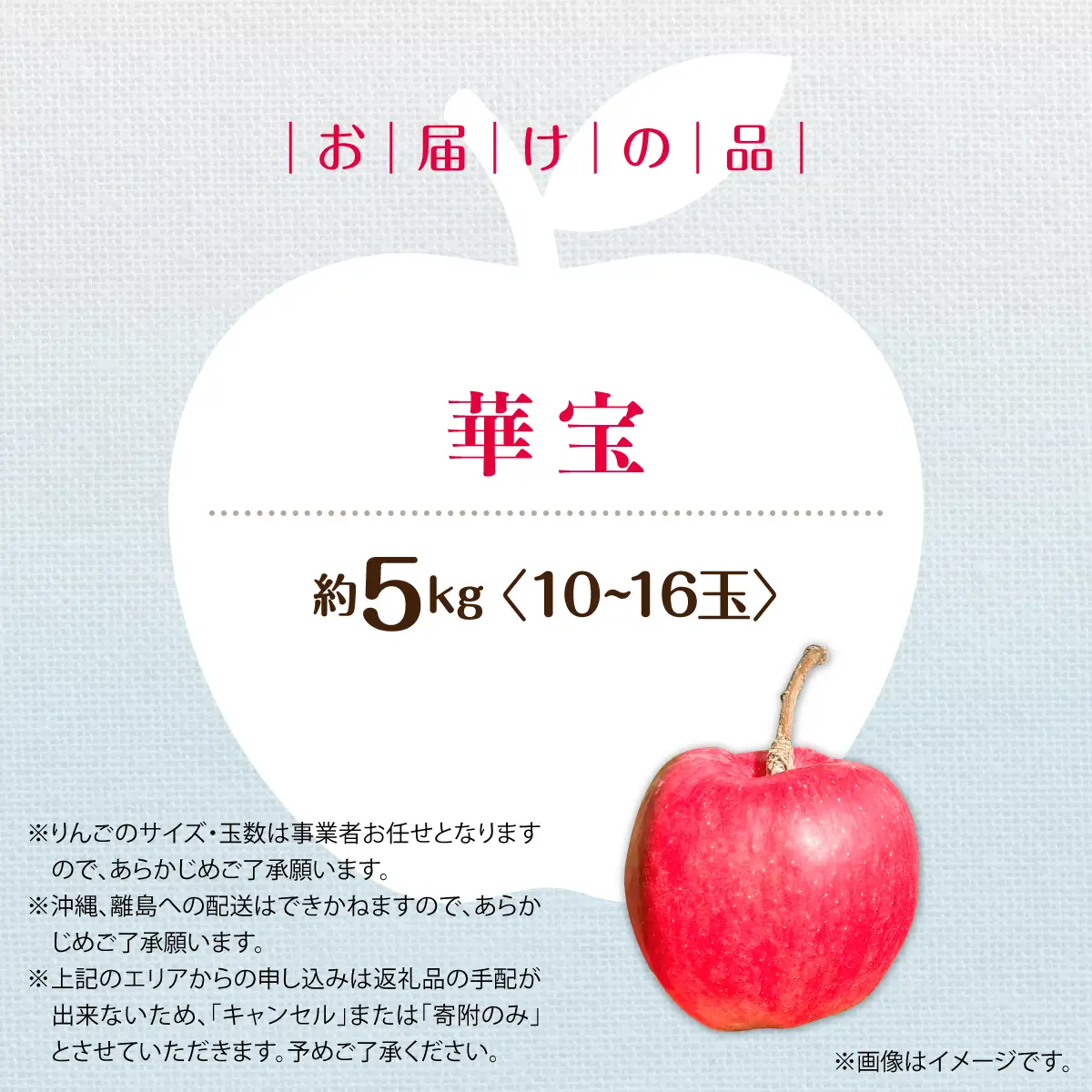 【先行予約】＜2026年10月上旬よりお届け＞北海道壮瞥町　りんご　品種名「華宝」10～16玉約5kg SBTF015