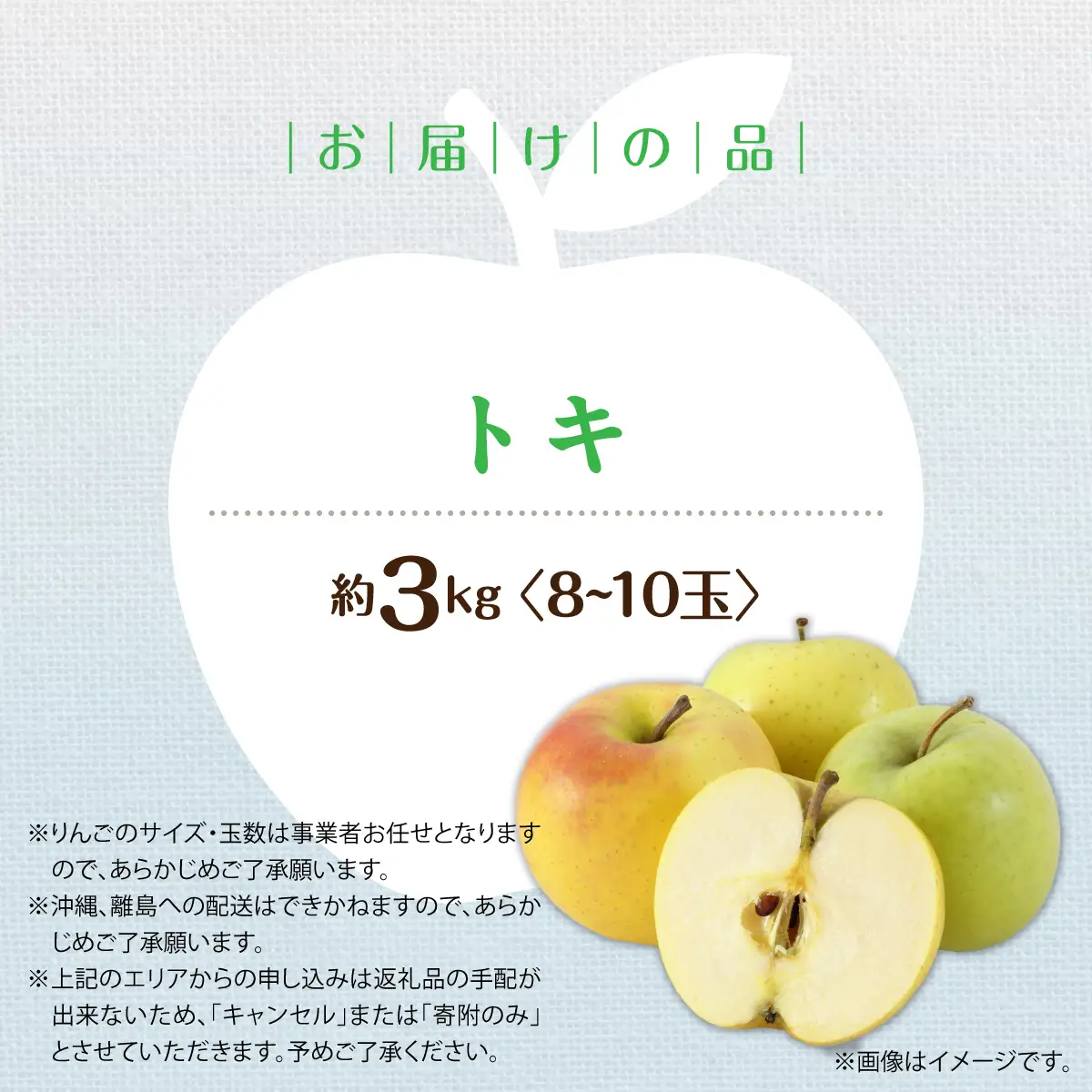 【先行予約】＜2026年10月中旬よりお届け＞北海道壮瞥町　りんご　品種名「トキ」8～10玉約3kg SBTF016