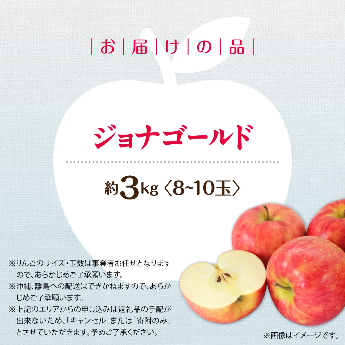 【先行予約】＜2026年10月下旬よりお届け＞北海道壮瞥町　りんご　品種名「ジョナゴールド」8～10玉約3kg SBTF018