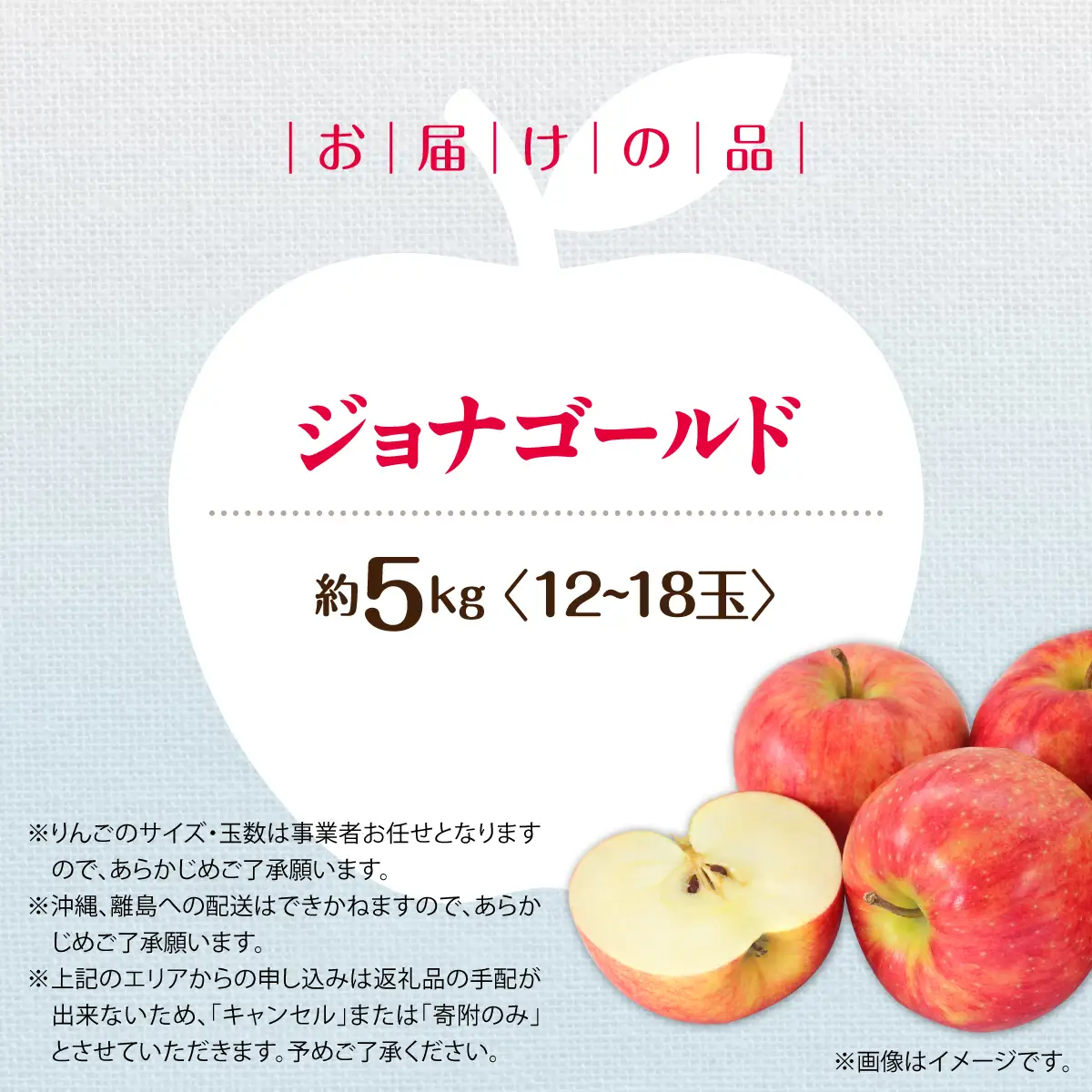 【先行予約】＜2026年10月下旬よりお届け＞北海道壮瞥町　りんご　品種名「ジョナゴールド」12～18玉約5kg SBTF019