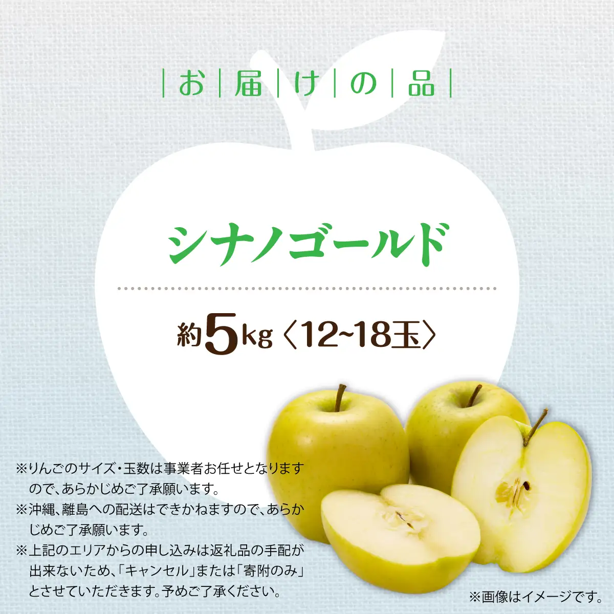 【先行予約】＜2026年11月上旬よりお届け＞北海道壮瞥町　りんご　品種名「シナノゴールド」8～10玉約5kg SBTF021