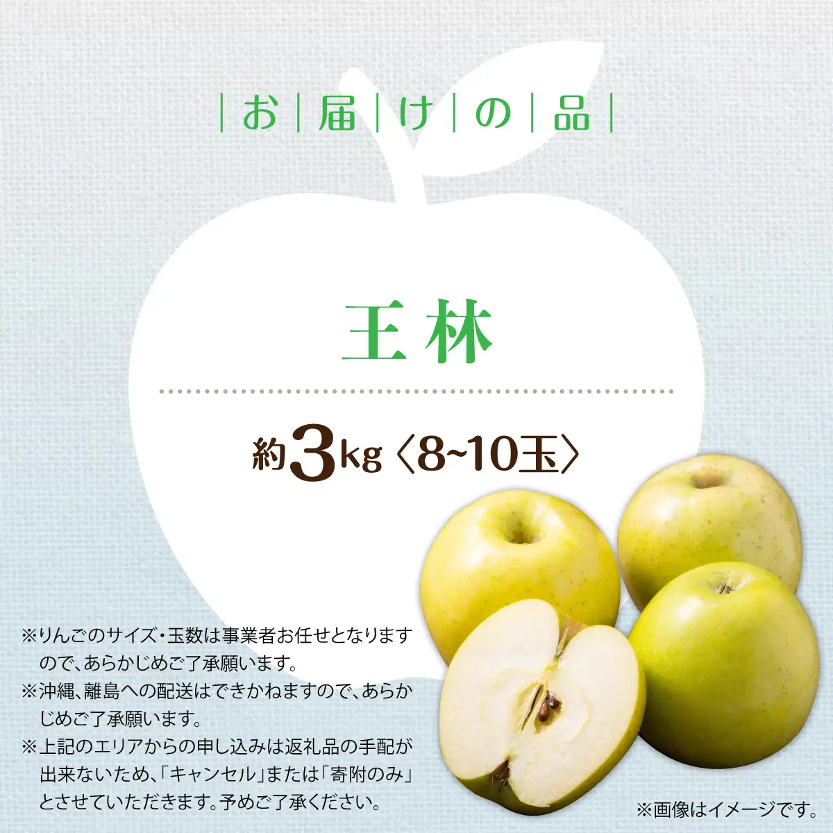 【先行予約】＜2026年11月中旬よりお届け＞北海道壮瞥町　りんご　品種名「王林」8～10玉約3kg SBTF024