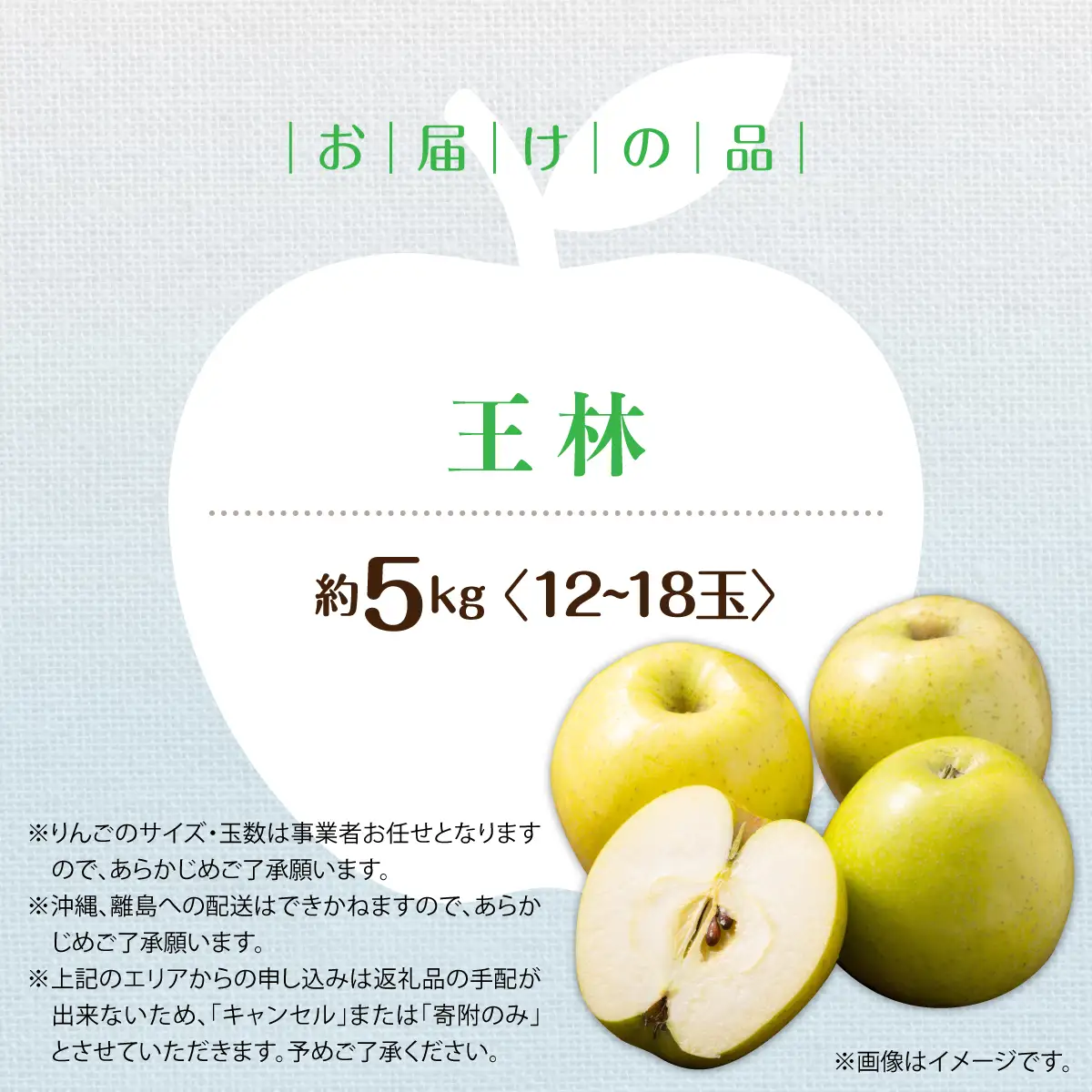 【先行予約】＜2026年11月中旬よりお届け＞北海道壮瞥町　りんご　品種名「王林」12～18玉約5kg SBTF025