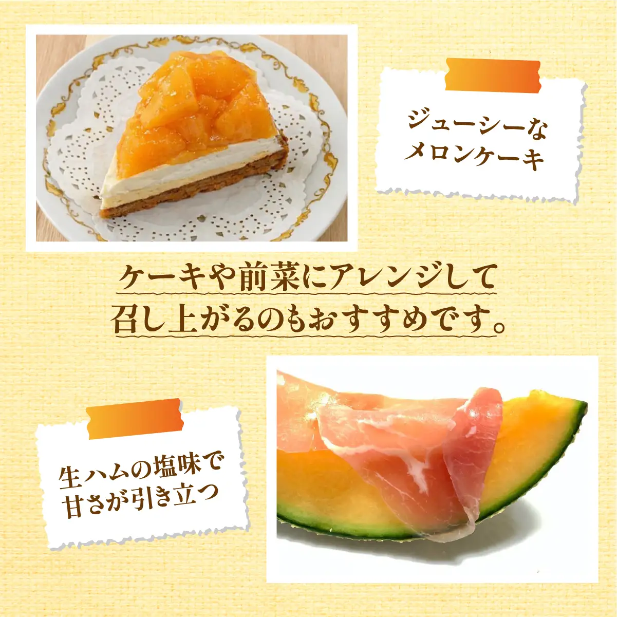 《令和8年8月上旬発送予定》 大阪府能勢町産 赤肉メロン 『マリアージュ』 1玉 (1.5kg-1.8kg) | 西河農園 | 国産 フルーツ 果物 デザート 甘い | 8月発送 夏季限定 |  ギフト 贈り物 |  大阪府 能勢町 送料無料