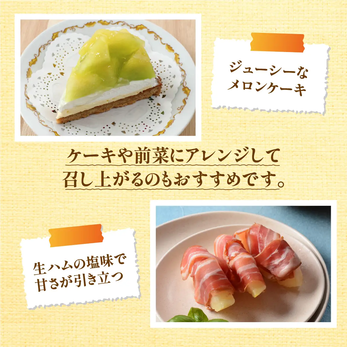 《令和8年8月初旬発送予定》 大阪府能勢町産 青肉メロン 『アールスメロン』 1玉 (1.5kg-1.8kg) | 西河農園 |  国産 フルーツ 果物 デザート 甘い | 8月発送 夏季限定 |  ギフト 贈り物 |  大阪府 能勢町 送料無料