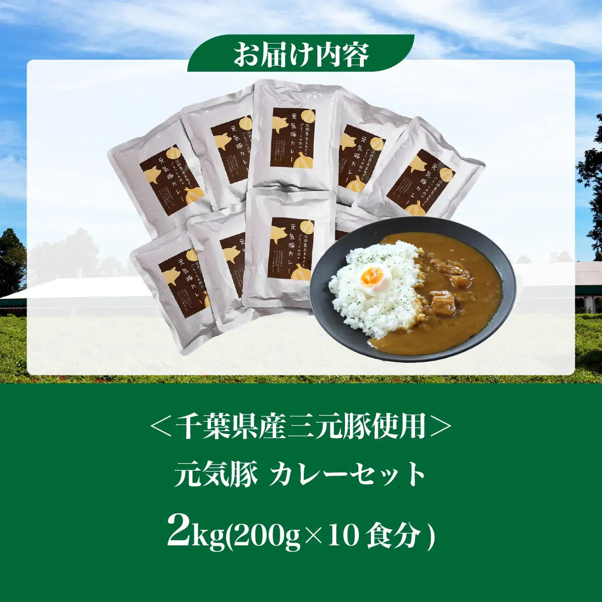 【千葉県産三元豚使用】元気豚 カレーセット　2kg(200g×10食分)_三元豚 カレー セット 千葉県産_【配送不可地域：離島・沖縄県】 TAKB013