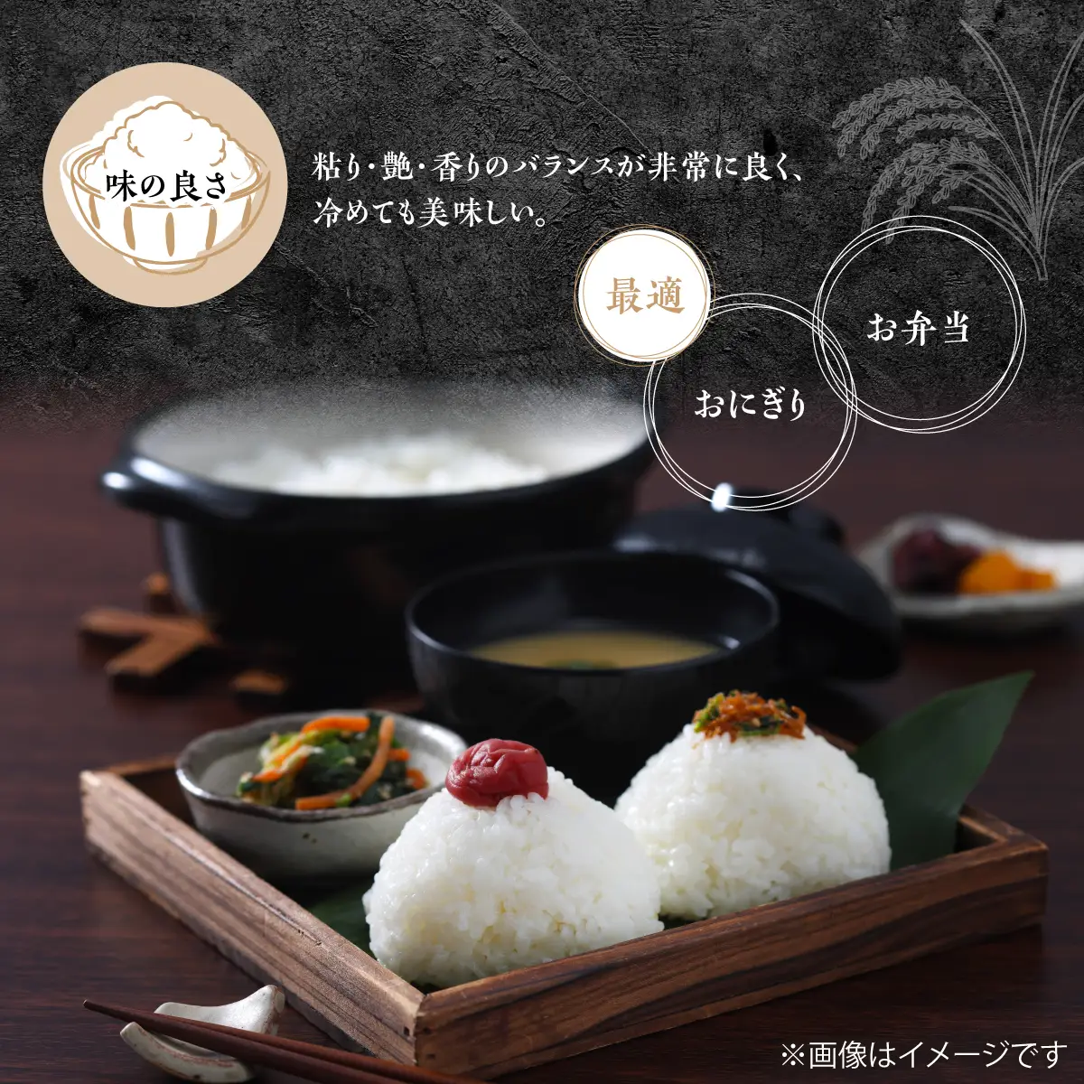 【令和7年産】多古米コシヒカリ　精米20kg(5kg×4袋)_ コシヒカリ 米 こしひかり_【配送不可地域：離島・沖縄県】 TAKN002
