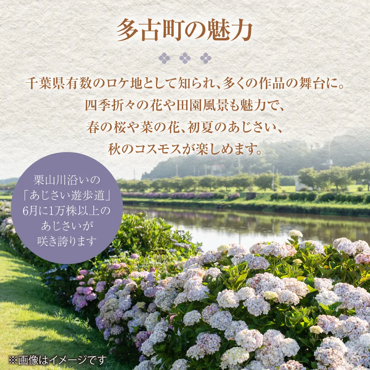 「ますがたや旅館」1泊素泊まり宿泊券(1名) 成田空港からほど近い家庭的な雰囲気の隠れ宿_旅行券・チケット 宿泊券【配送不可地域：離島・沖縄県】 TAKR004