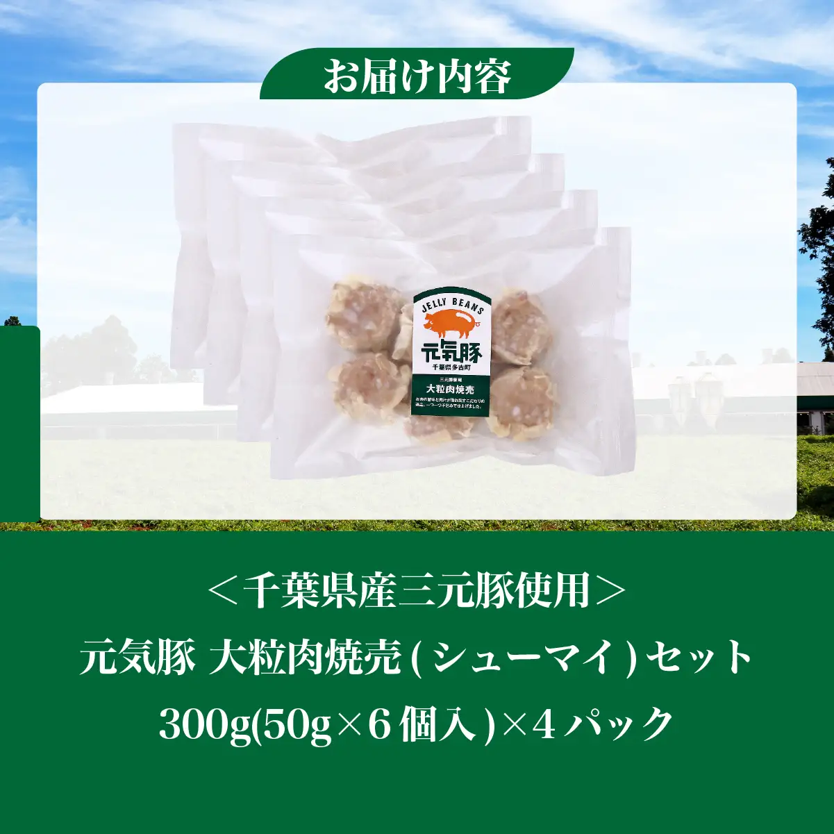 元気豚　大粒肉焼売　4パックセット_焼売 シューマイ 大粒_【配送不可地域：離島・沖縄県】TAKB050