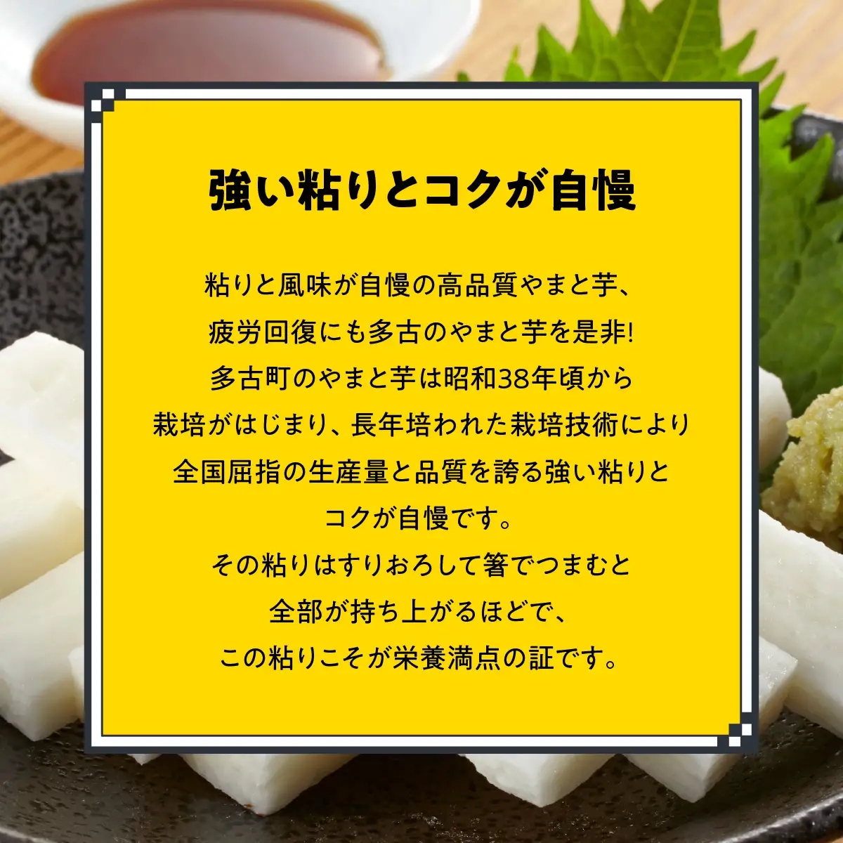やまと芋の町 多古から「秋山農園のやまと芋」2kg_野菜 自然薯 根菜 じねんじょ ジネンジョ 【配送不可地域：離島・沖縄県】TAKF049