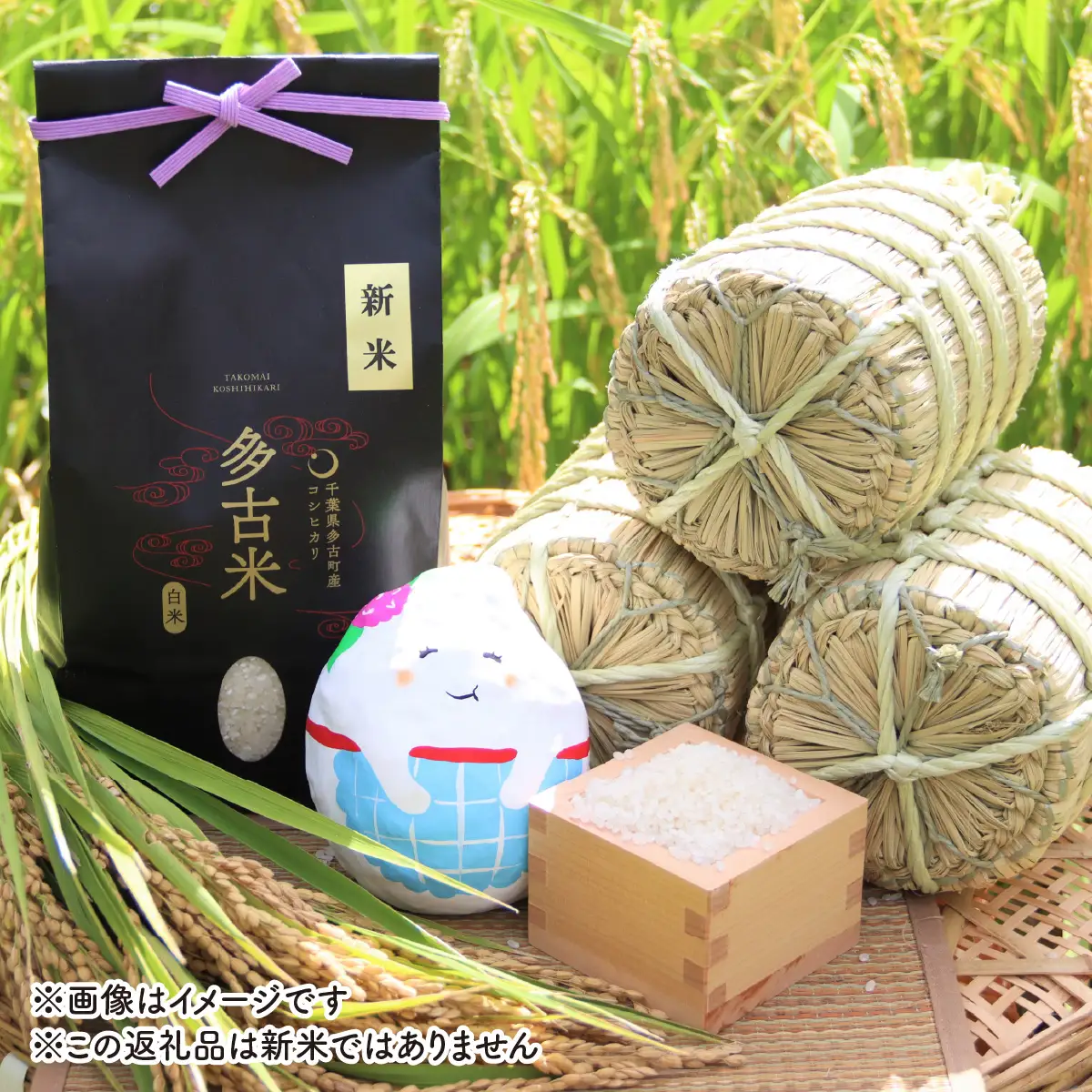 山口さんちの【令和7年産】多古米コシヒカリ(玄米)5kg_ 玄米 米 こめ コメ   コシヒカリ 米 こしひかり 【配送不可地域：離島・沖縄県】TAKF045