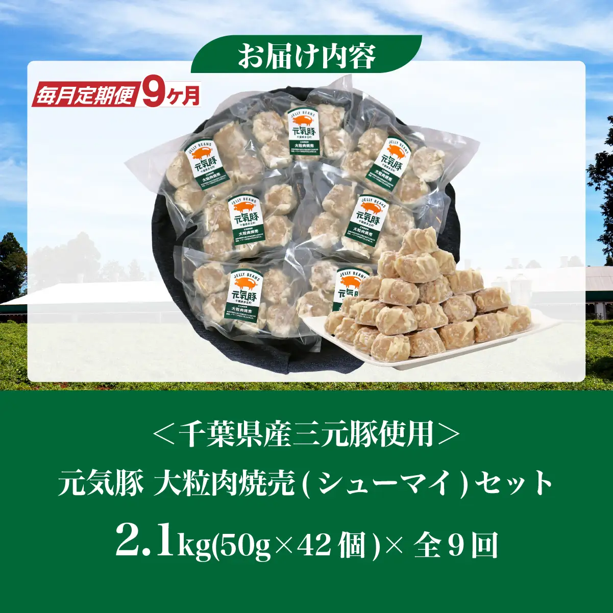 【毎月定期便】元気豚 大粒肉焼売セット 42個セット(計2.1kg)全9回_惣菜・加工品 シュウマイ    定期便 定期便  _【配送不可地域：離島・沖縄県】 TAKB065