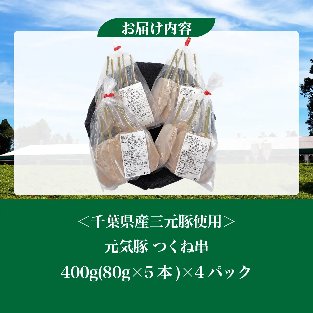 【千葉県産三元豚】元気豚 つくね串 20本セット　合計1.6kg(80g×20本)_肉  豚肉 _【配送不可地域：離島・沖縄県】 TAKB062