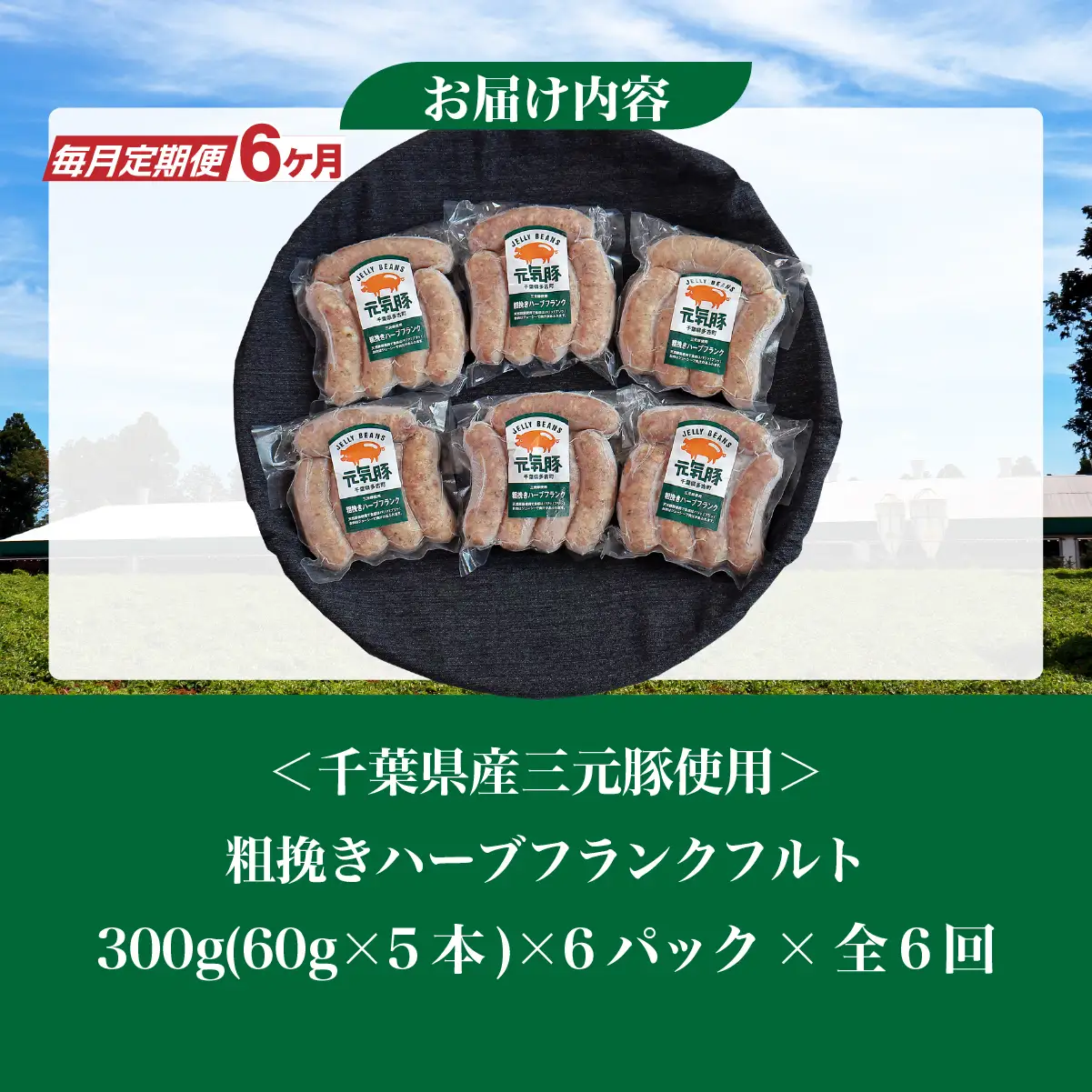 【毎月定期便】元気豚 粗挽きハーブフランクフルト 30本セット 1.8kg(60g×30本)全6回_肉 ソーセージ・ウインナー 豚肉   定期便 定期便  _【配送不可地域：離島・沖縄県】 TAKB067