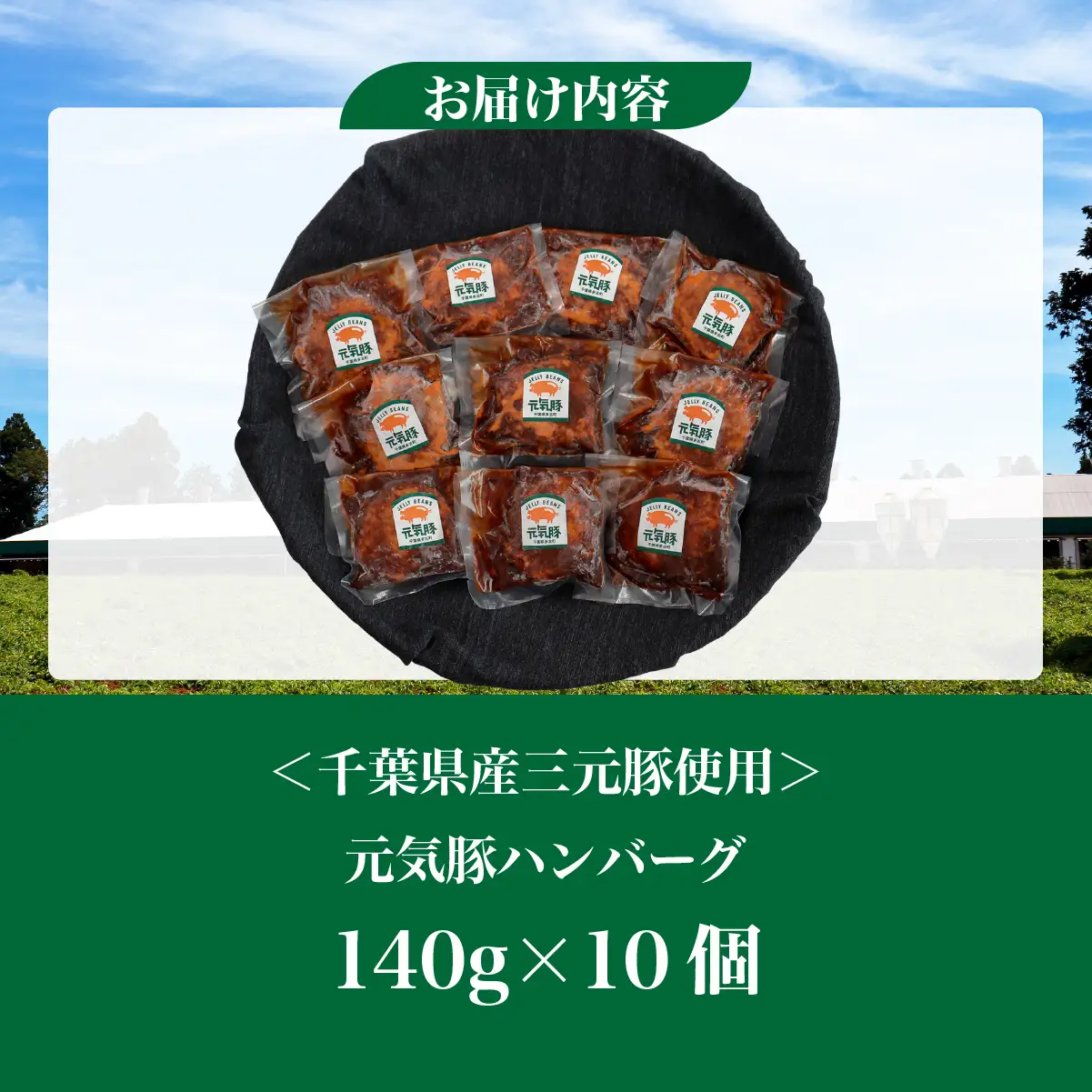 元気豚デミグラスハンバーグ 10個セット(140g×10個入)_肉  豚肉 _【配送不可地域：離島・沖縄県】 TAKB069