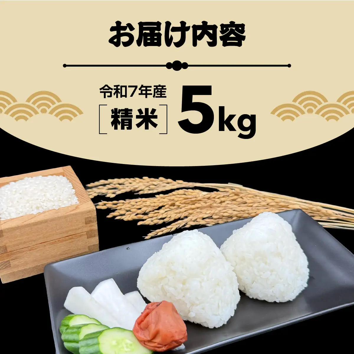 多古米セレクション　高石健太郎さんの多古米コシヒカリ　精米5kg　令和7年産 【配送不可地域：離島・沖縄県】TAKF035