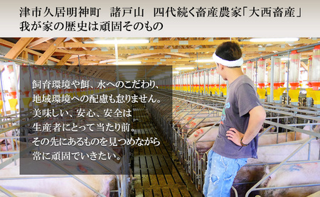 【頑固おやじのぶた】国産豚肉 豚こま切れ 3kg（300g×10）
