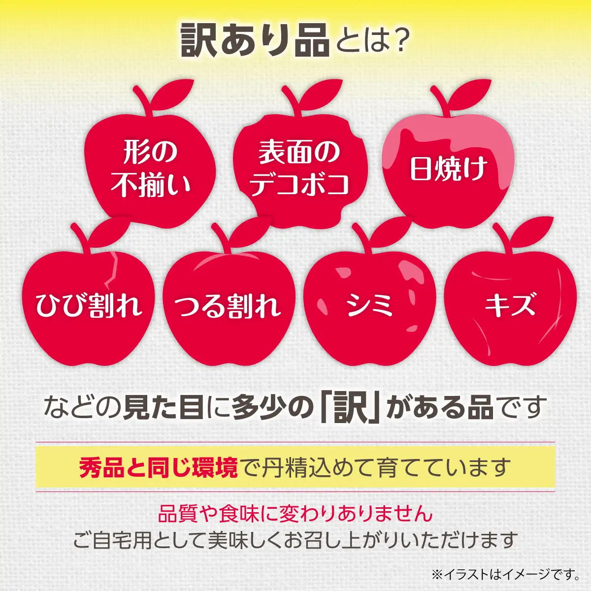 【先行予約】＜2026年12月上旬よりお届け＞北海道壮瞥町　【訳あり】りんご　品種名「サンふじ」約10kg SBTF030