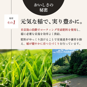 令和8年産 新米 ひとめぼれ 10kg ( 5kg × 2袋 ) 3ヵ月 定期便 先行予約 米 お米 白米 精米 こめ コメ 令和8年 宮城県産